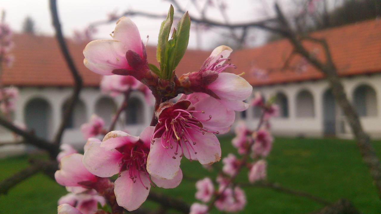 Bakta ház Hotel Egerbakta Esterno foto